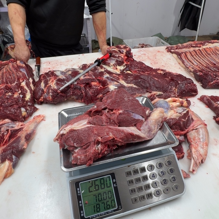 薇***12个月中国大陆前腿