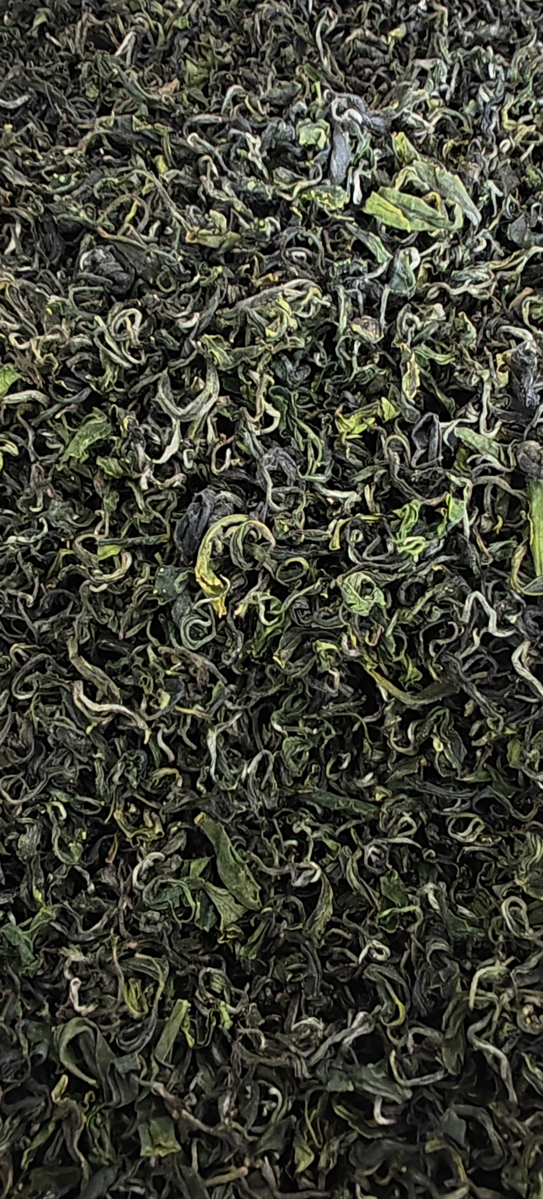 日照绿茶【豌豆香口粮茶】 带白毫的一芽一叶【送礼首选】
