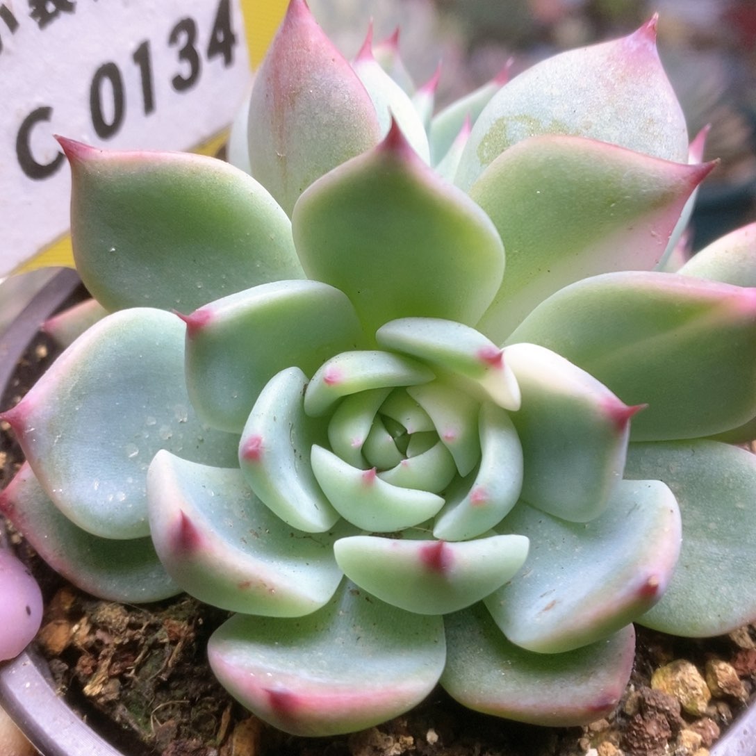 134哈哈哈哈哈哈哈哈哈哈