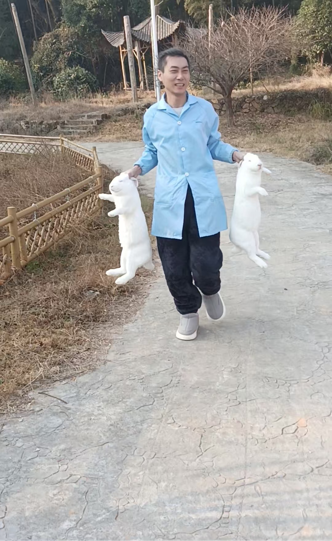 大型肉兔新鲜现杀兔肉