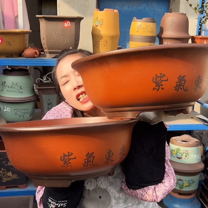 30+30小红花盆花盆花盆花盆