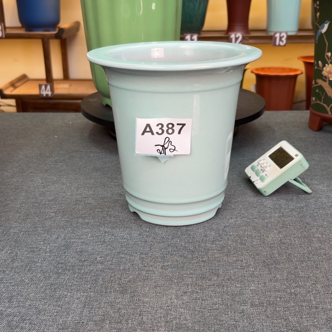 紫砂花盆兰花1558568885