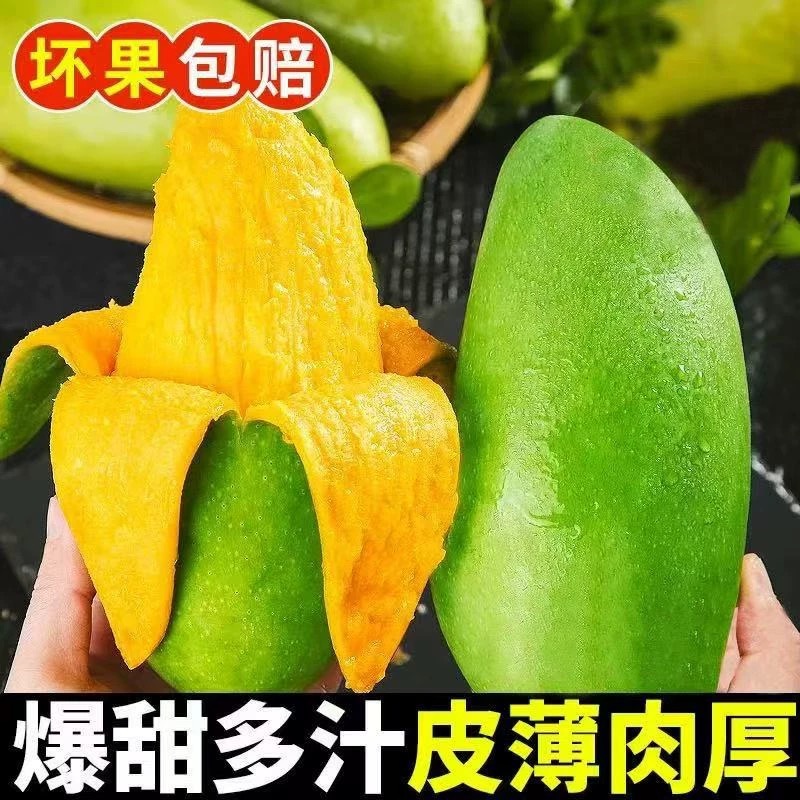 【特选大果】大果云南大青芒果爆甜现摘现发当季新鲜水果5斤