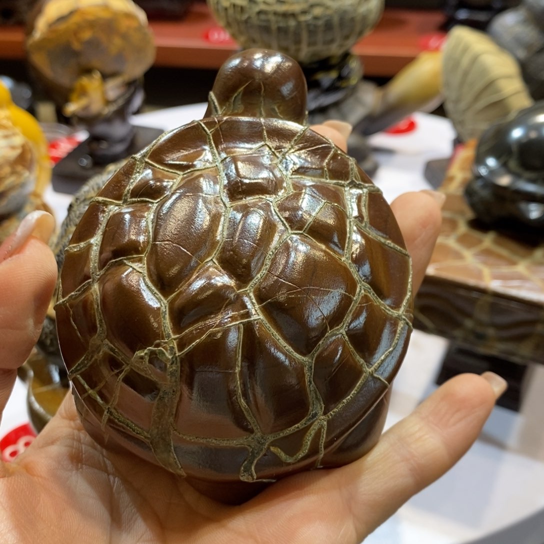 心***缘羊羔毛龟纹石原产地直播
