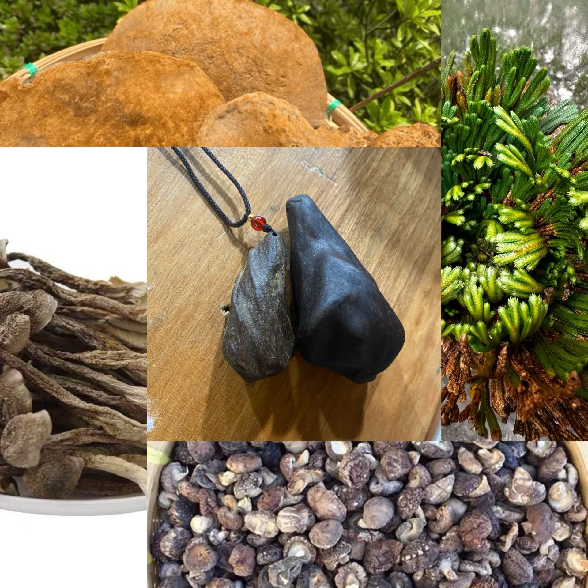 【土特产阿龙专属F】10g