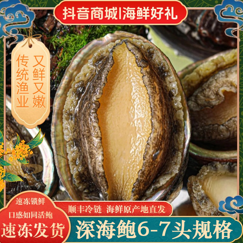 【丰鲍】6-7头鲍鱼7cm左右 东山岛深海活鲍液氮冷冻鲍鱼发货3