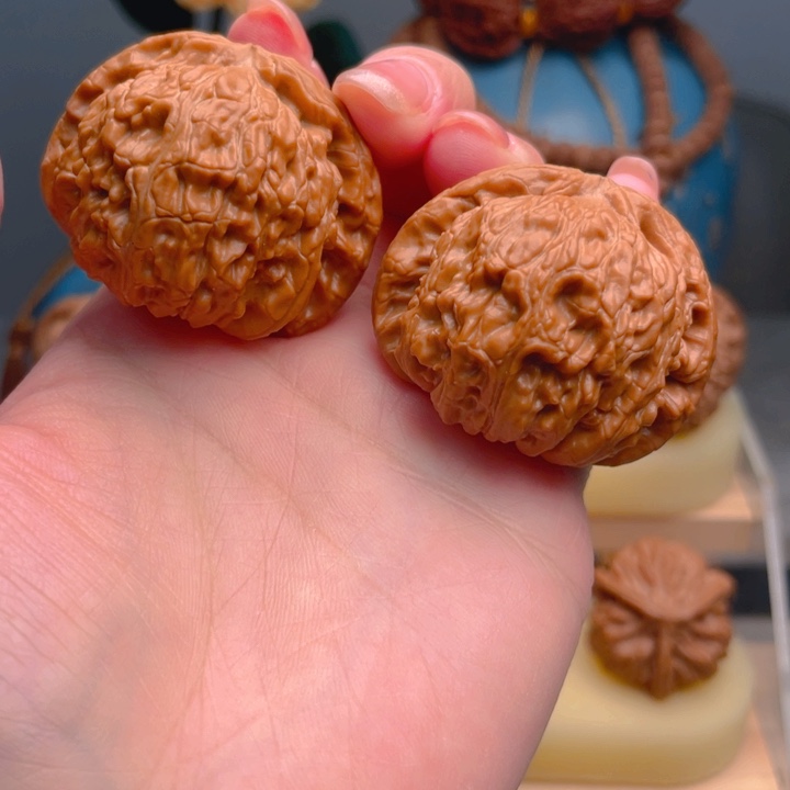 把件桃核白狮子 43尺