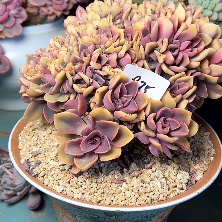 875////////////////////