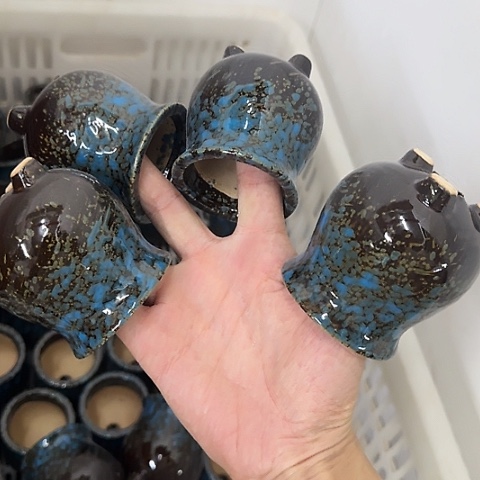 4个····全是福利····