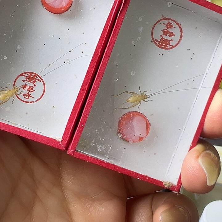 晴***^哈哈哈哈哈哈哈哈哈哈哈哈哈哈哈哈