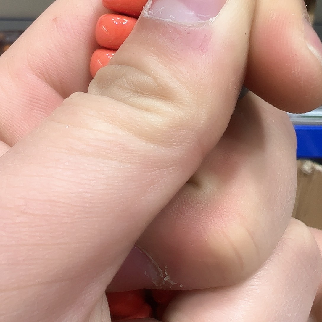 茶盏我们的生活方式是什么