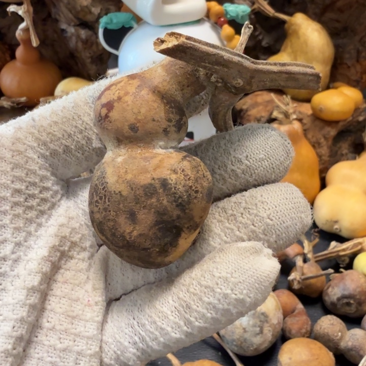 立***行66666666777777888888