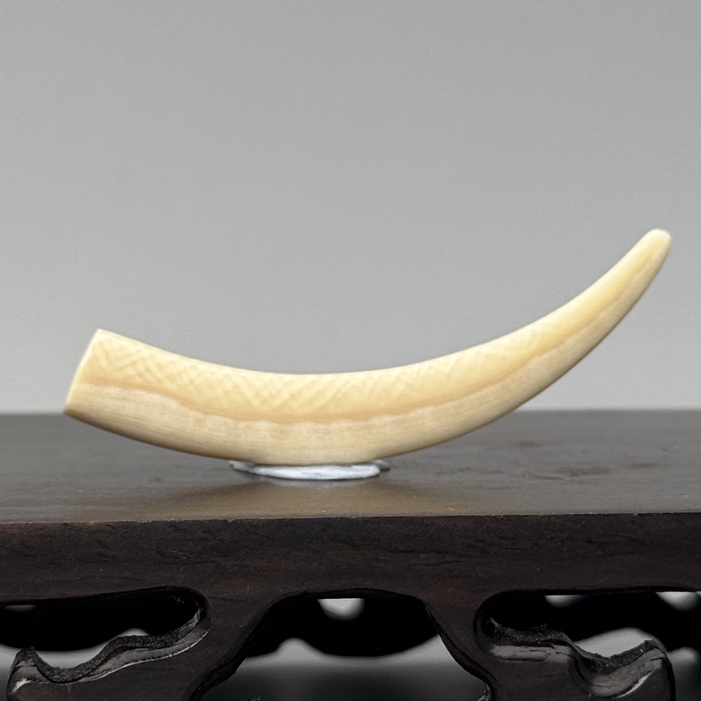 DEZHI/德志57*7*8mm2.8g牙尖吊坠天然猛犸牙C641