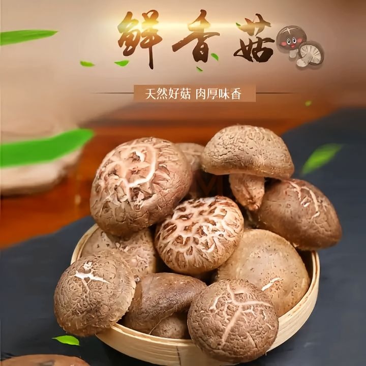 庆功优选鲜香菇肉厚菇香浓郁煲汤佳品