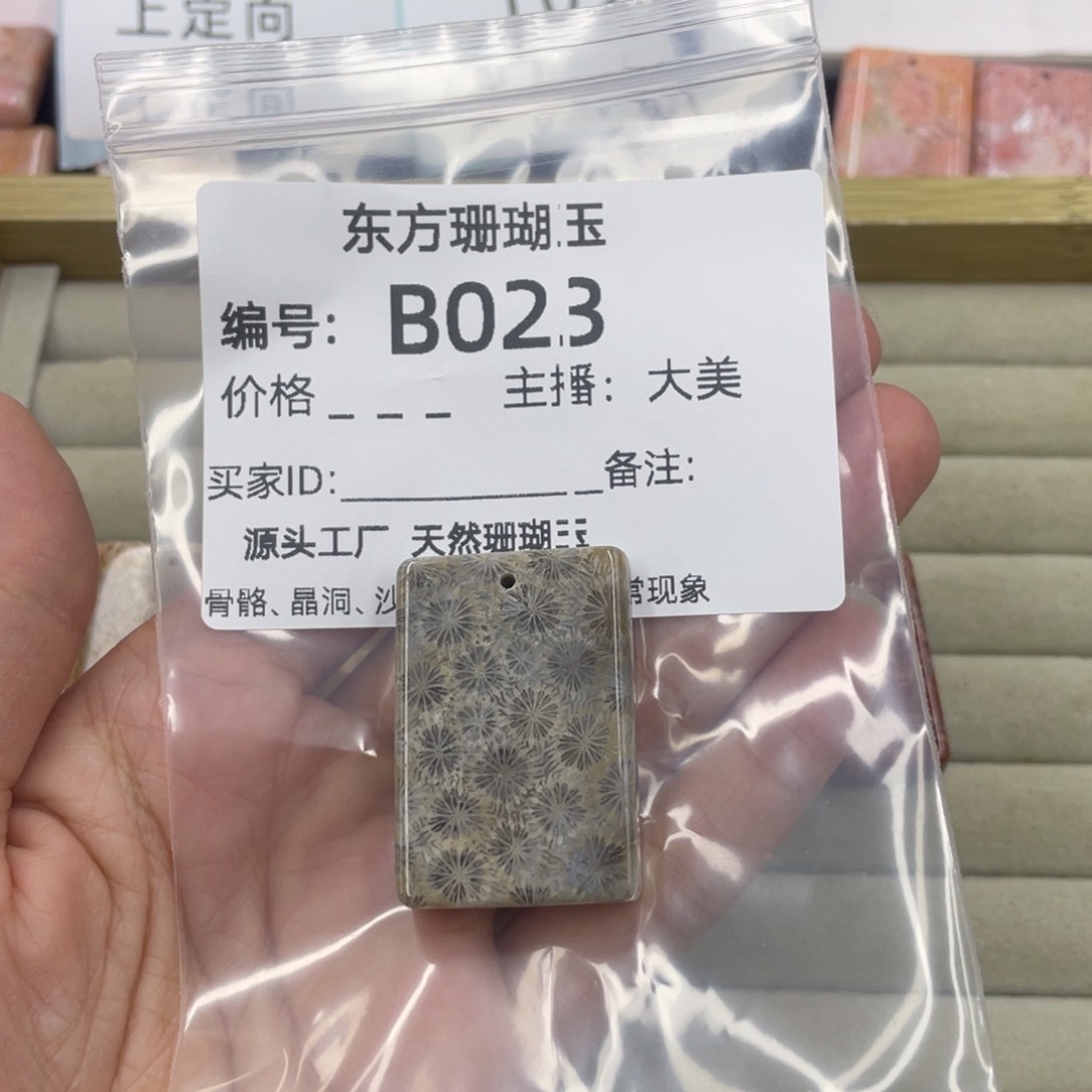 硅化珊瑚（珊瑚玉）合金颈饰乖***乖