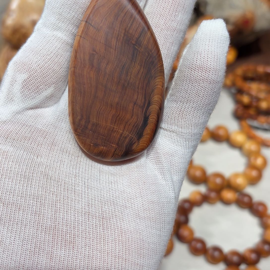 柏木鱿***飞柏韵太行小牌子鱿鱼20