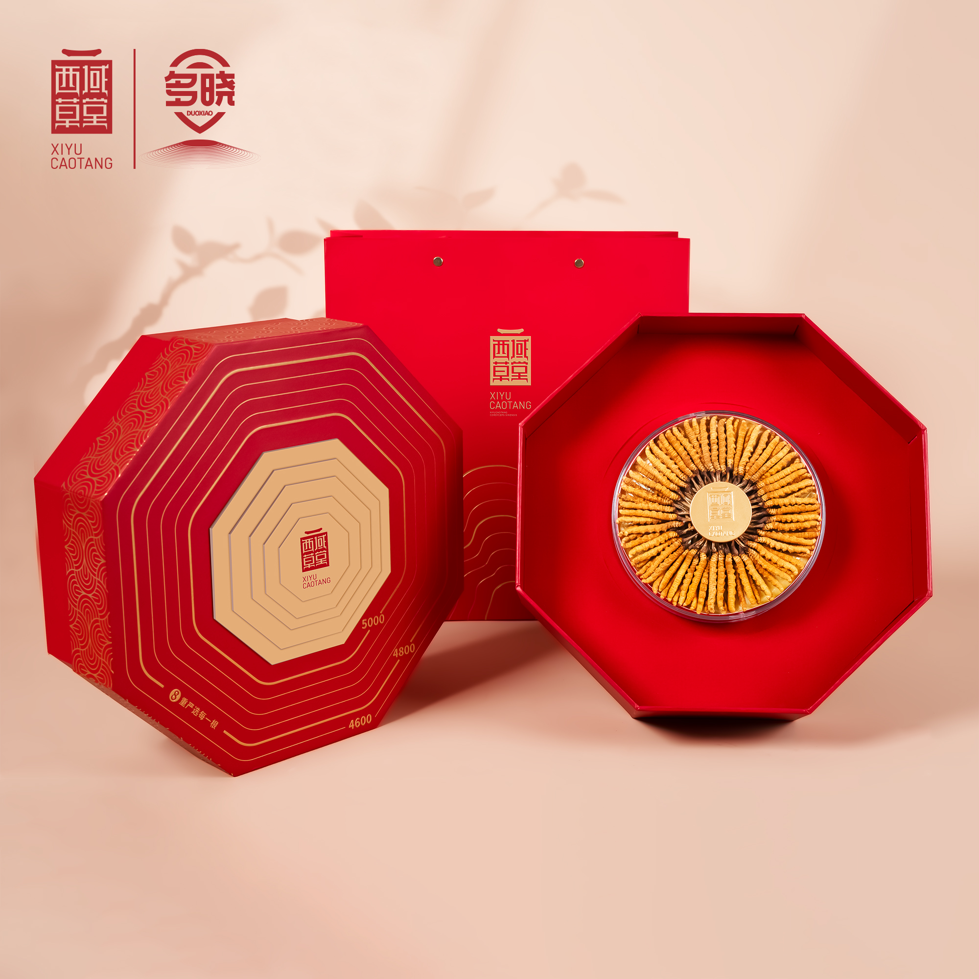 西域草堂多晓冬虫夏草严选6根/克虫草高端送礼礼盒滋补品