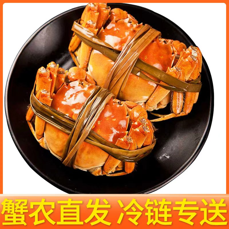 【活蟹】江苏大闸蟹 公蟹4.0-3.7两 母蟹3.0-2.7两 8只送2只 京东顺丰冷链