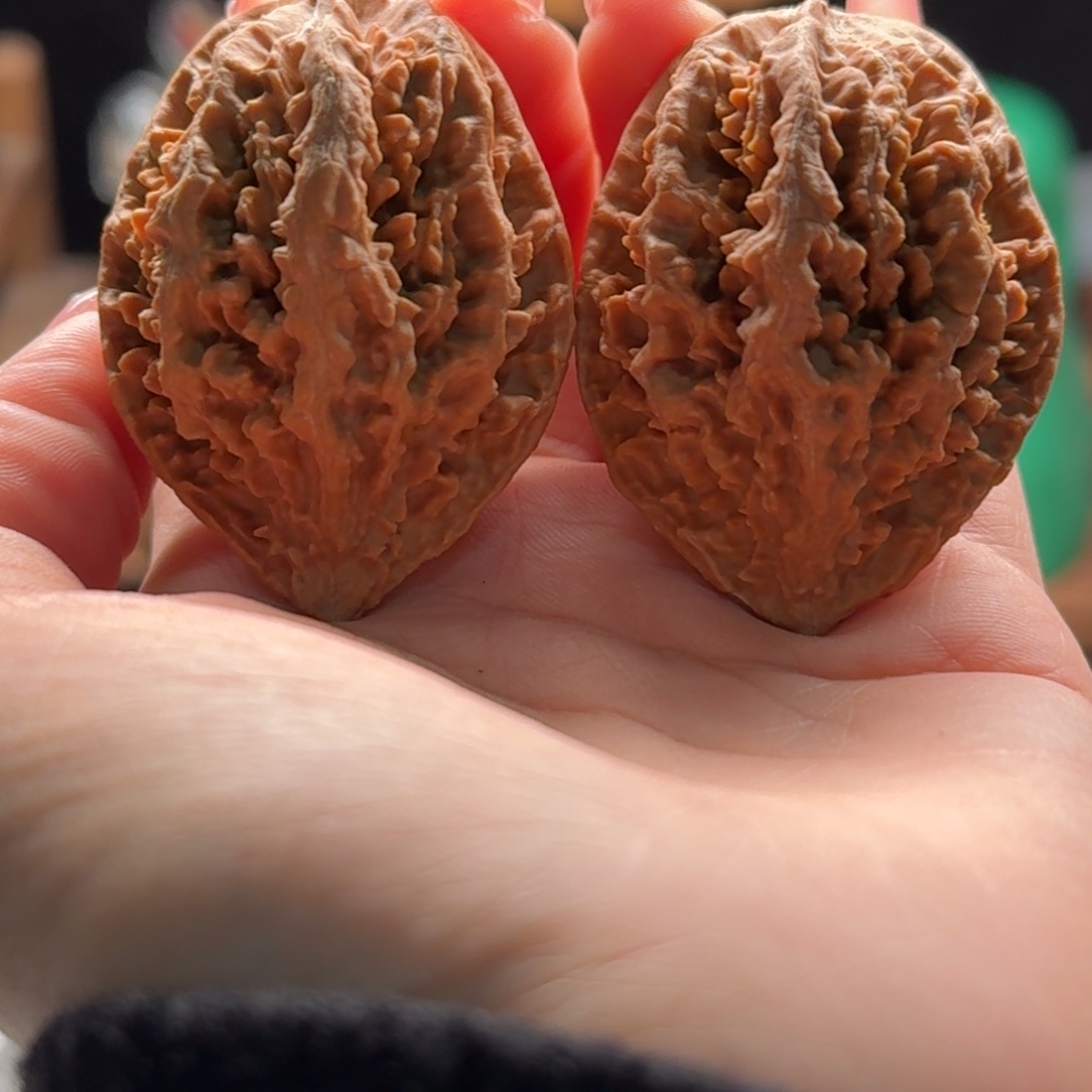 文玩核桃把件关东木子楸百核34