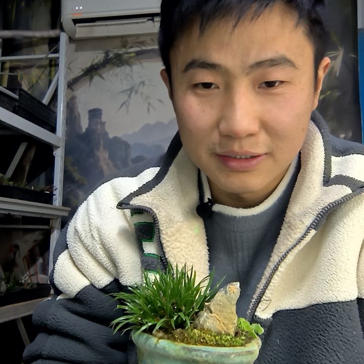H***y中青园艺一物一拍花142