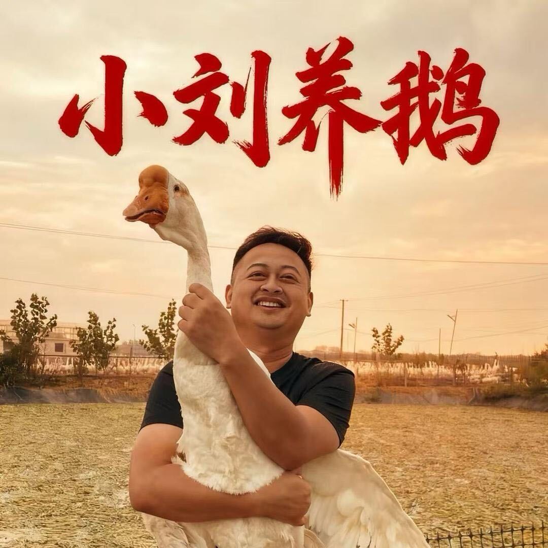 【一物一拍】六安特产皖西咸鹅稻田老鹅手工腌制腊鹅风干鹅