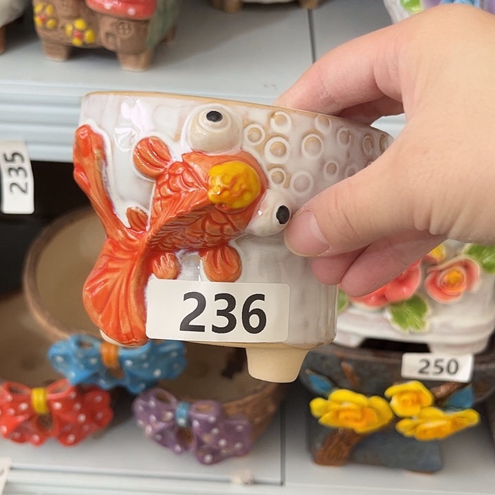 粗陶材质多肉花盆