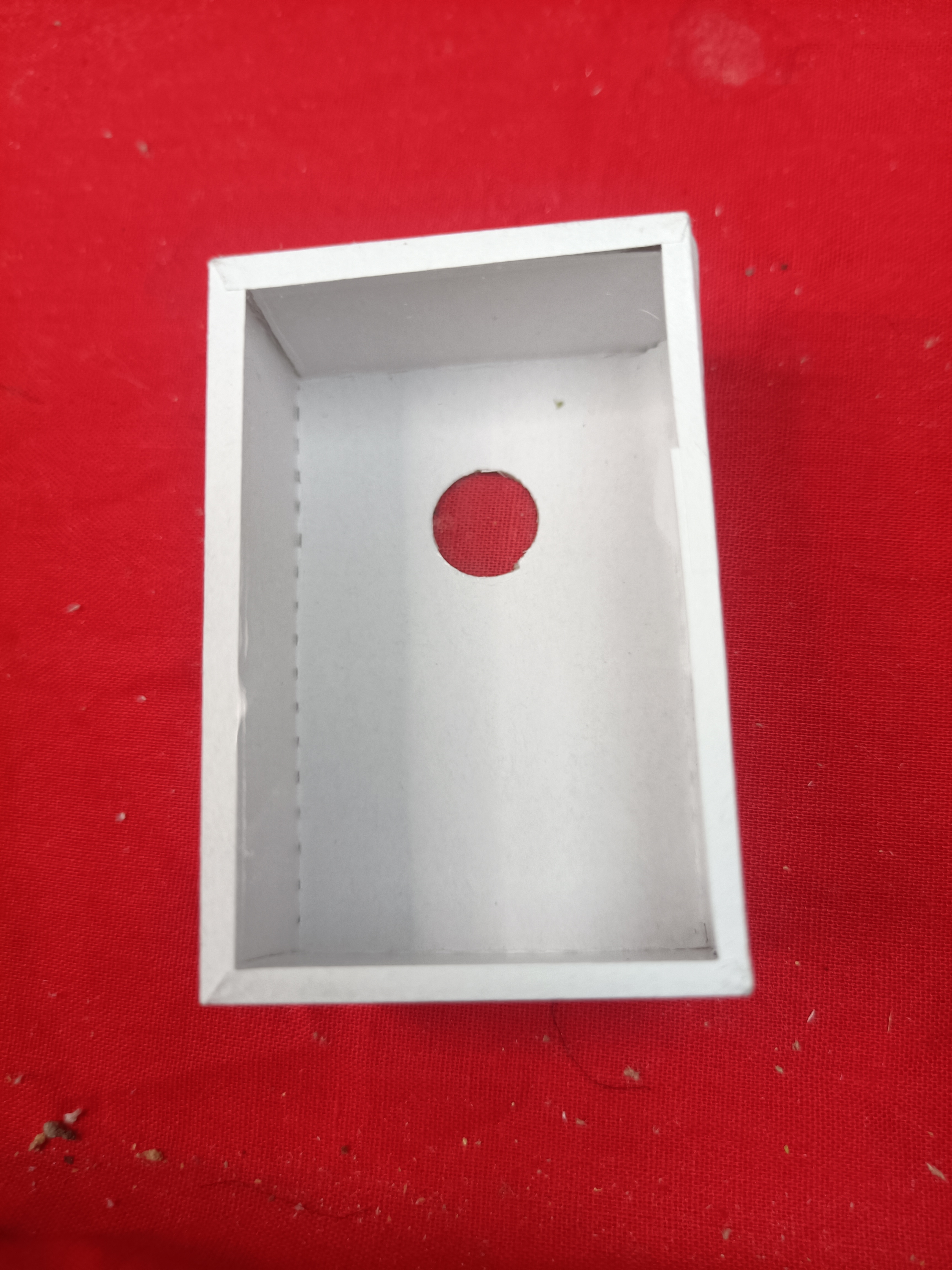 天津段青油葫芦，精品精挑黑虫一只