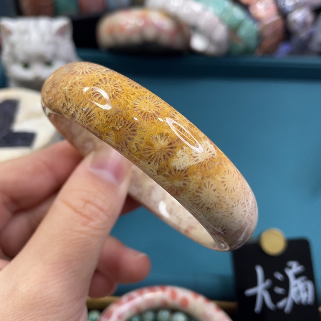 未镶嵌手镯硅化玉