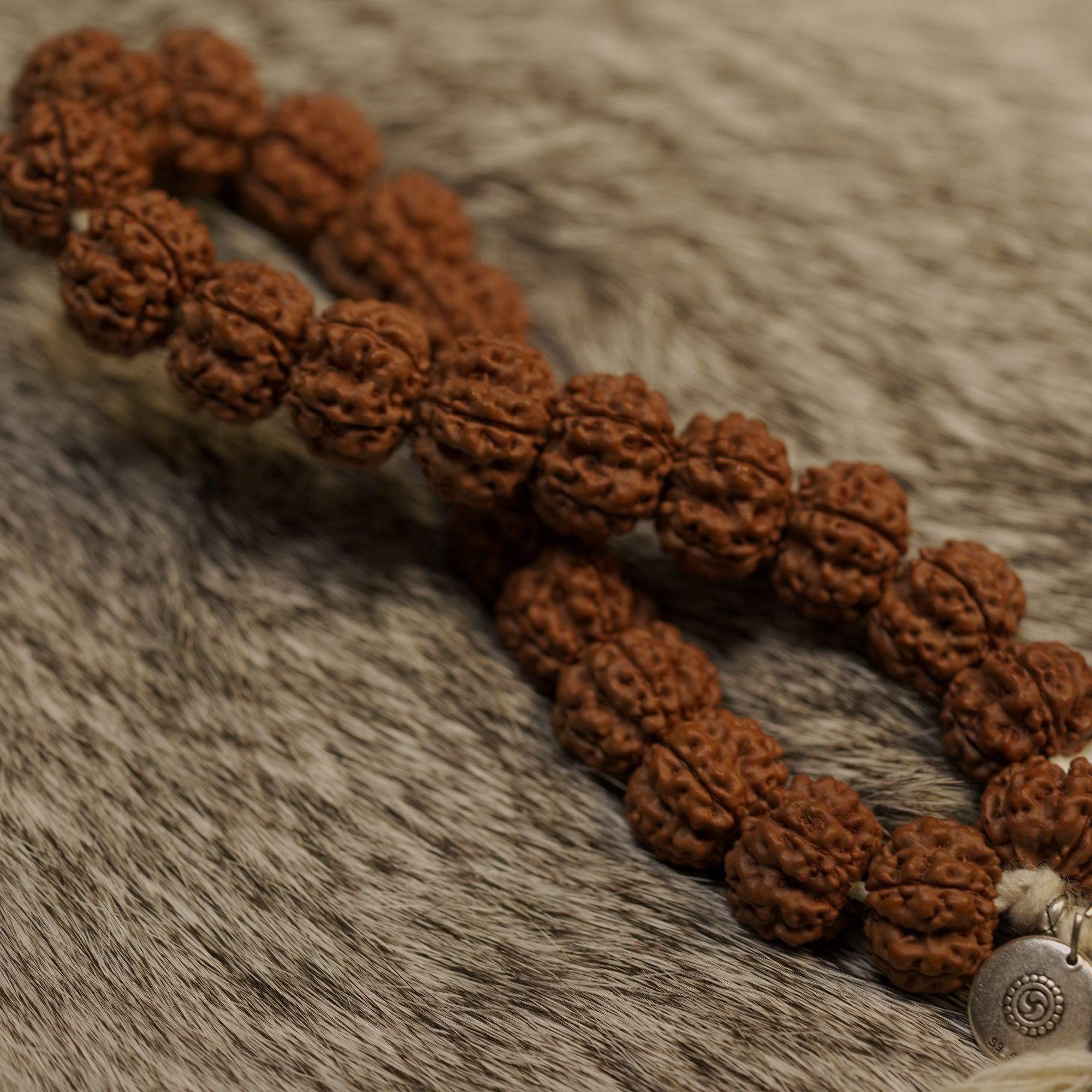 【2025新籽】五面复尺 私人定制聚源一号小金刚菩提手串