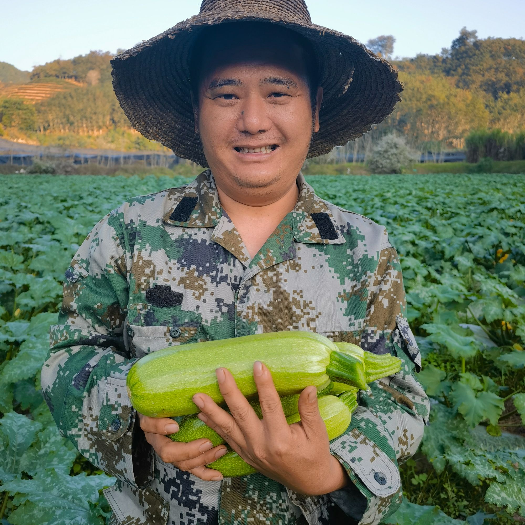 云南产地农家种植西葫芦小瓜生瓜新鲜现摘现发当季蔬菜头茬香甜脆