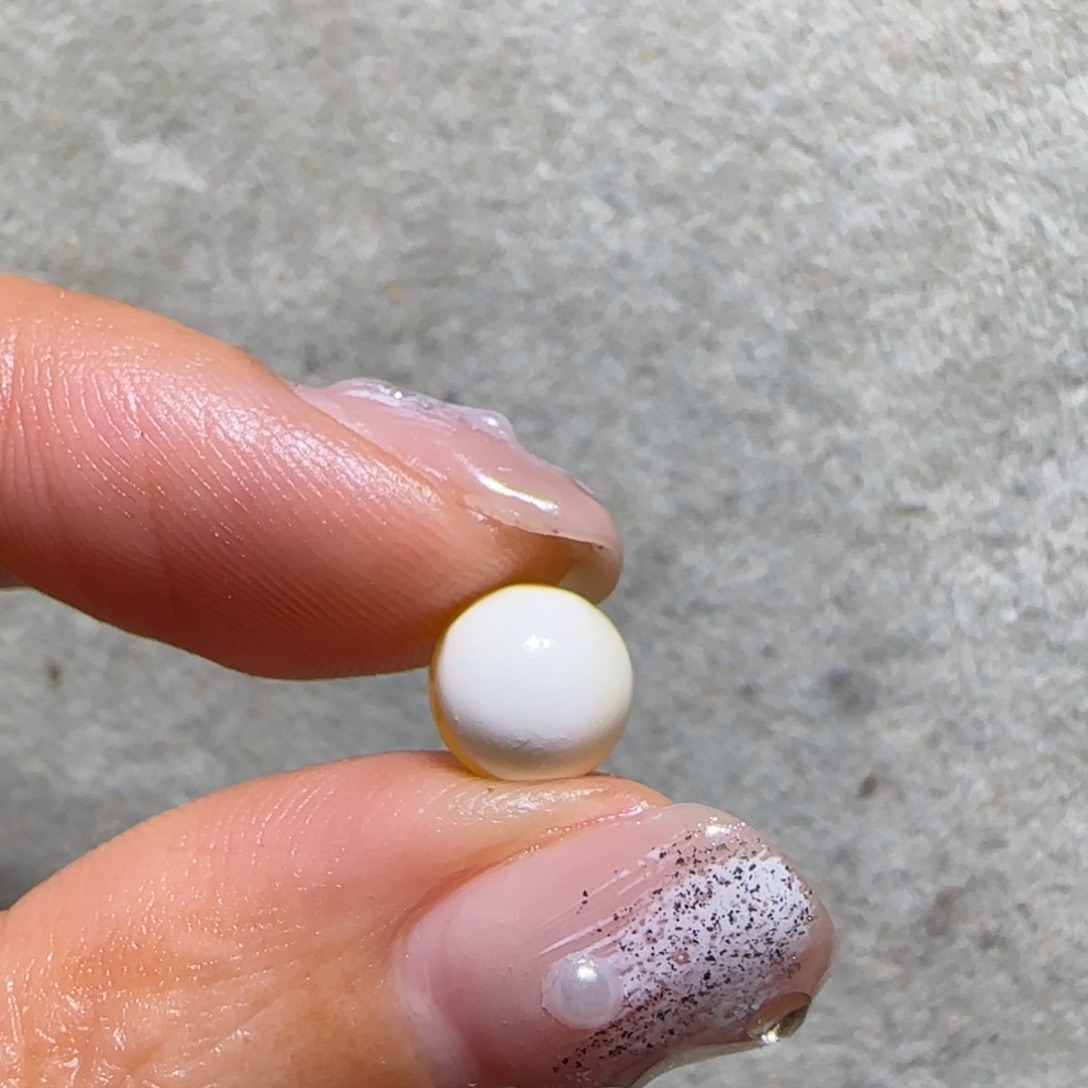 下***鱼琥珀未镶嵌裸石专拍