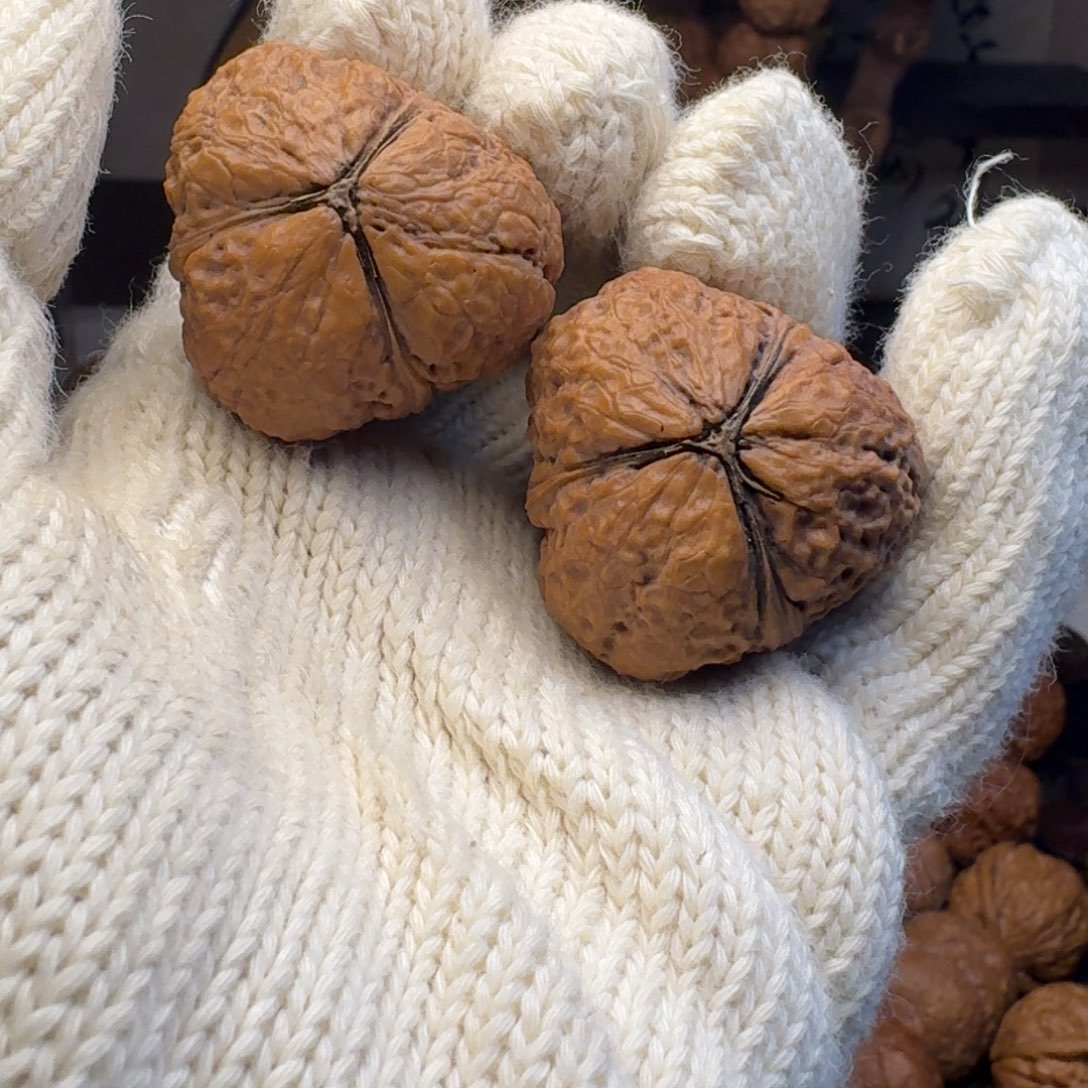 把件文玩核桃粽子三棱36.4