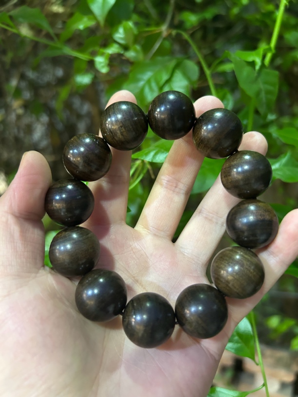 【土特产菇143】净含量55g