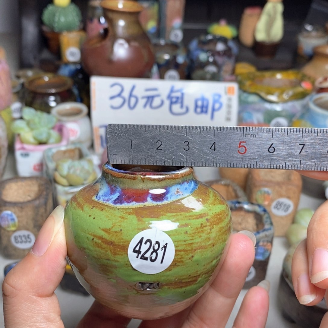 拍5送一个小礼物