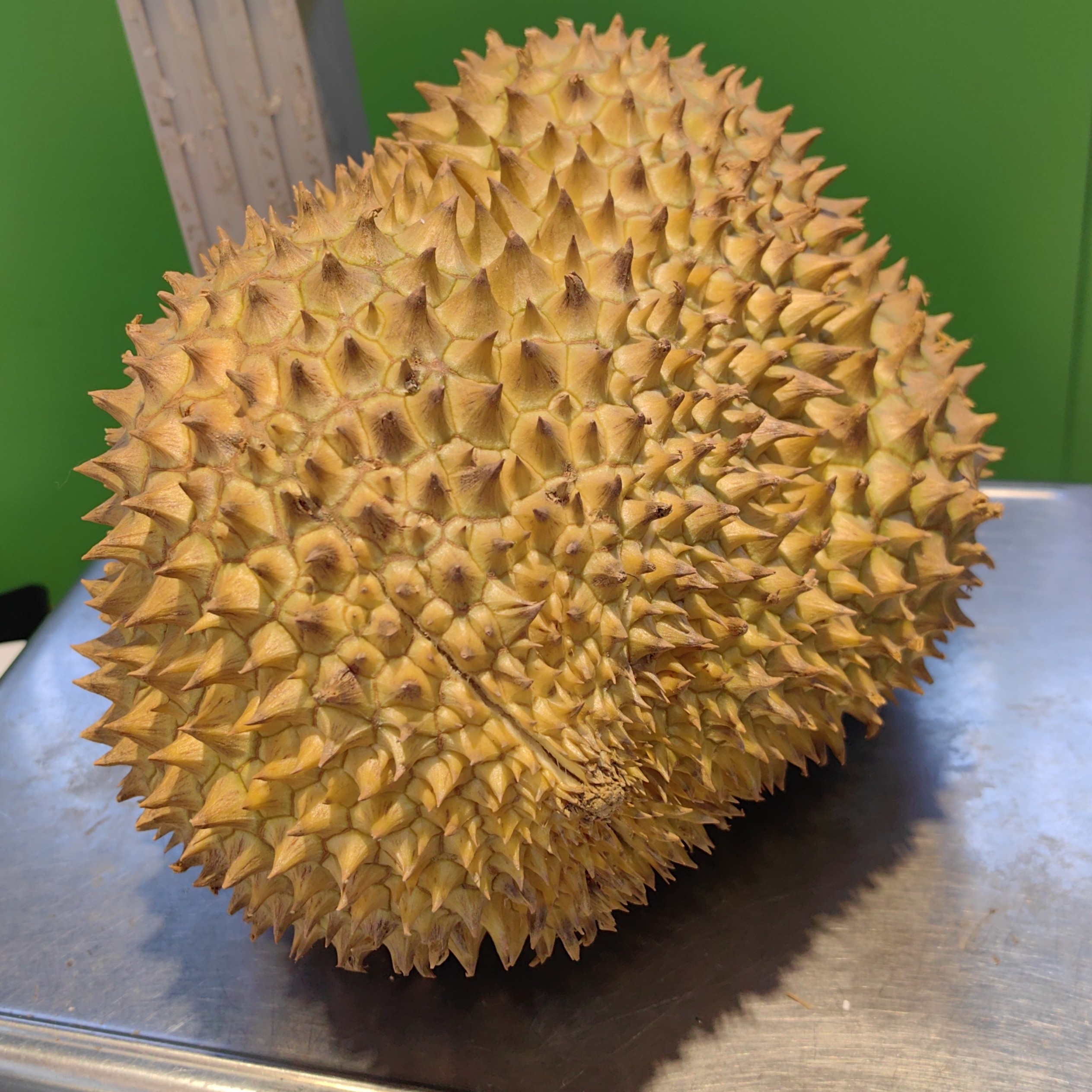 金枕榴莲（1个）