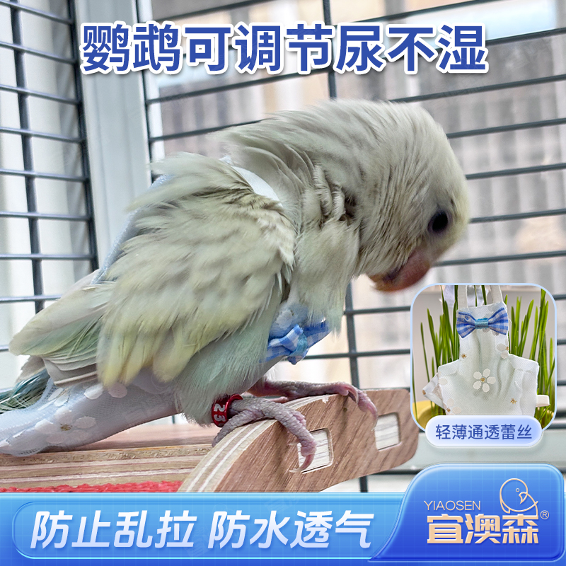 鹦鹉蕾丝尿不湿可调节立体款八哥金太阳虎皮衣服屎兜大容量薄