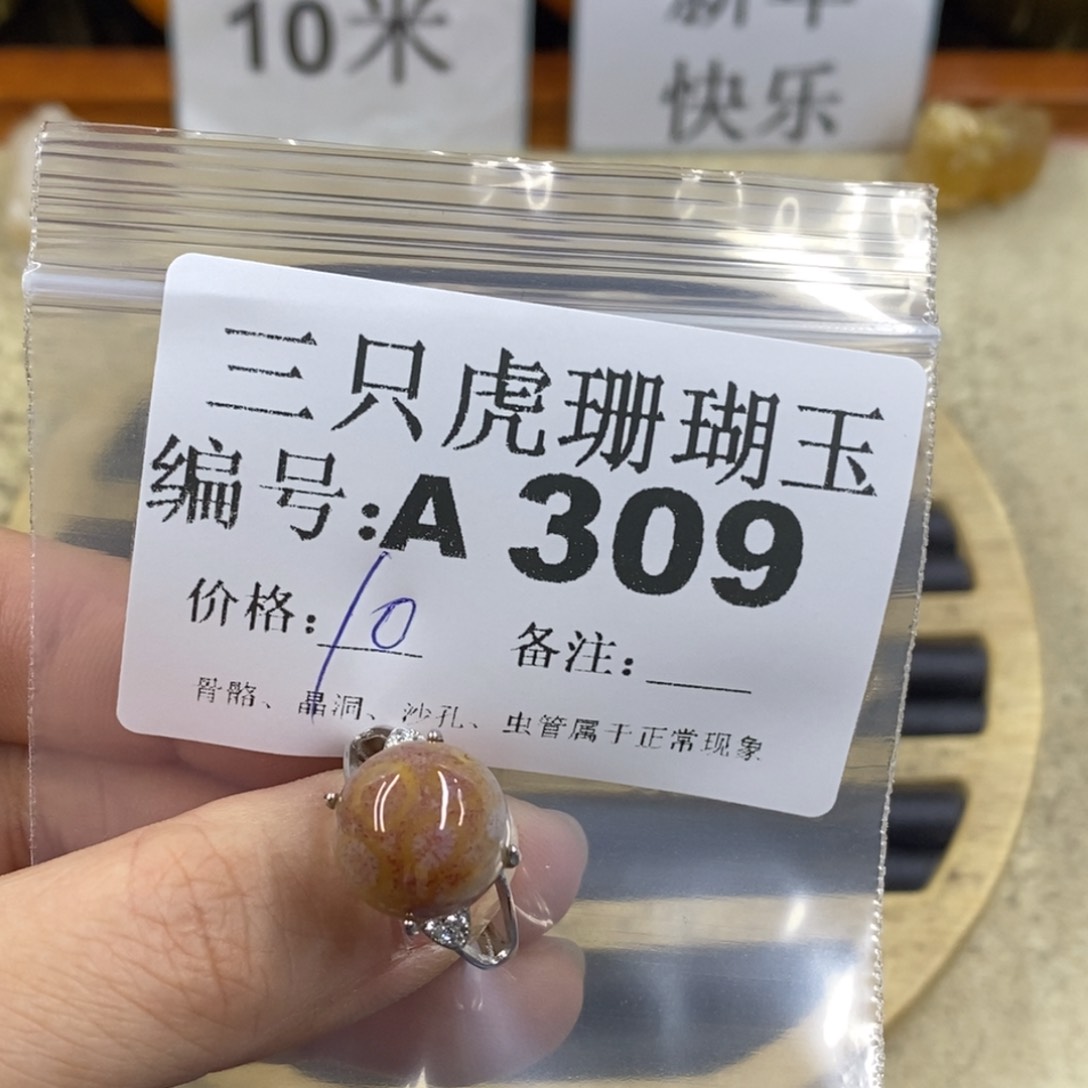 硅化珊瑚（珊瑚玉）1未镶嵌W*y