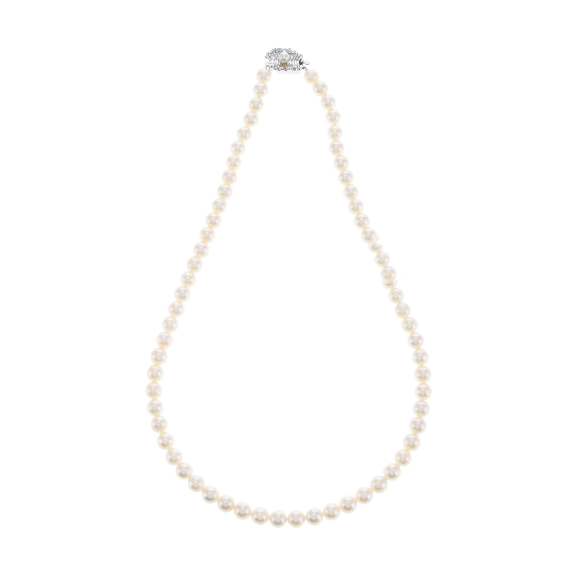 红布林/C1开箱/塔思琦/83807189/z/121287