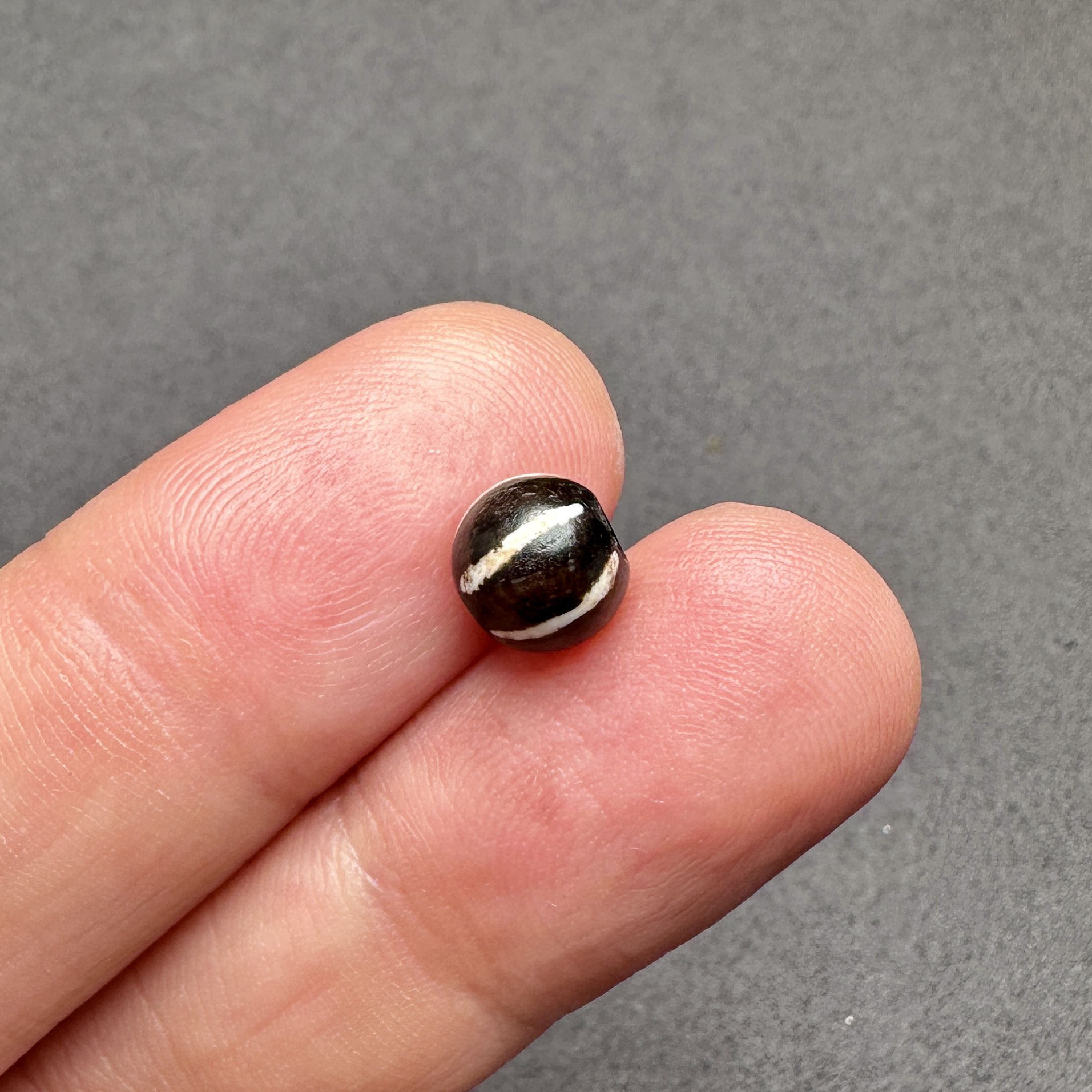 pyu时期缅甸木化石六线瓜珠 直径8.2mm