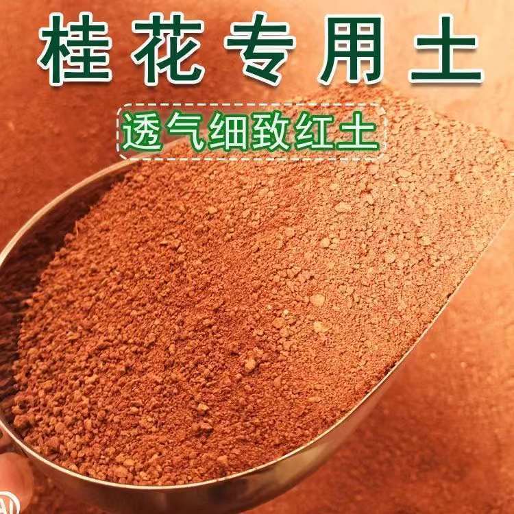 适用桂花透气酸性土精筛颗粒均匀沥水透气