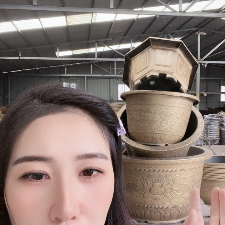 八角50口径花盆三个