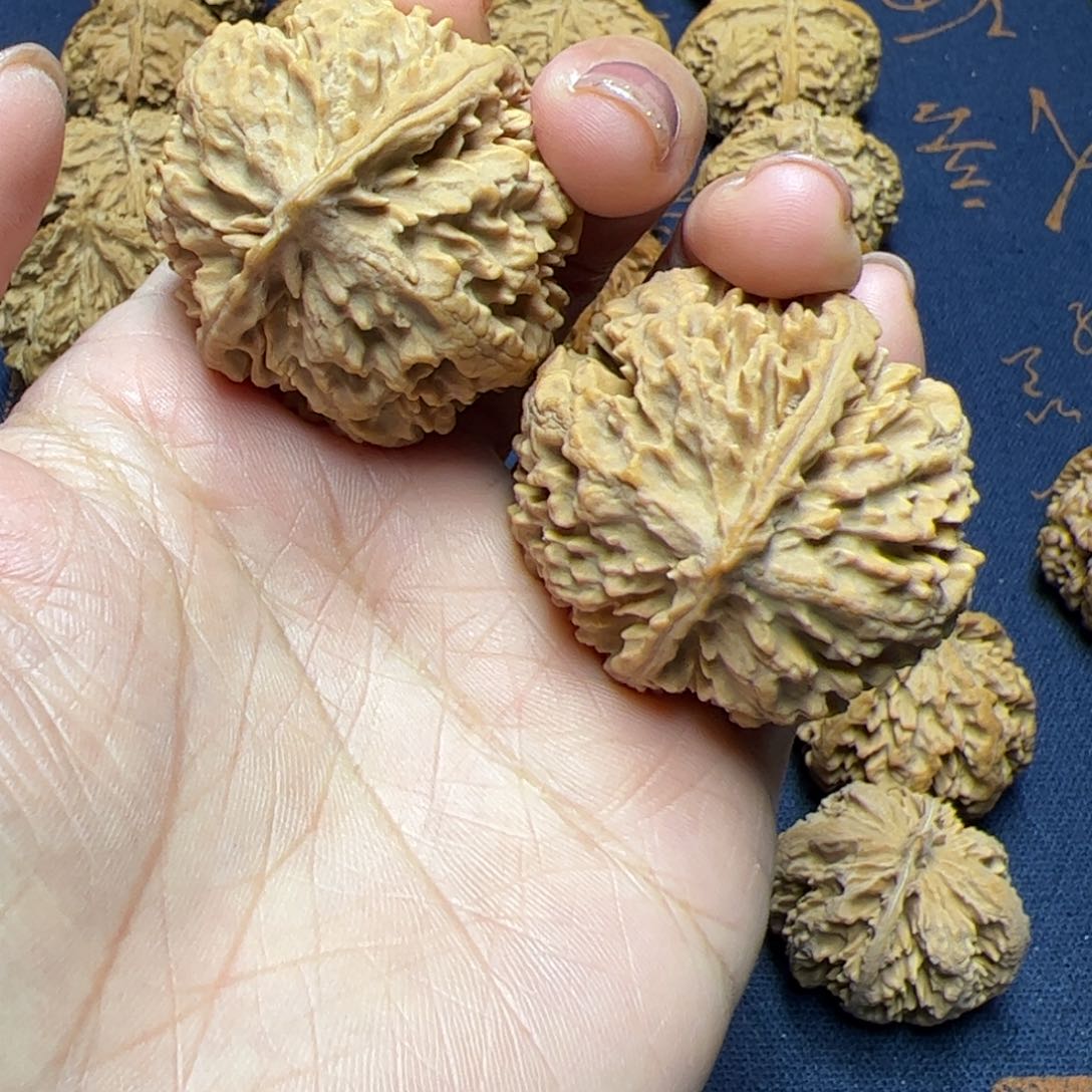 文玩核桃把件秦岭野生植物核桃