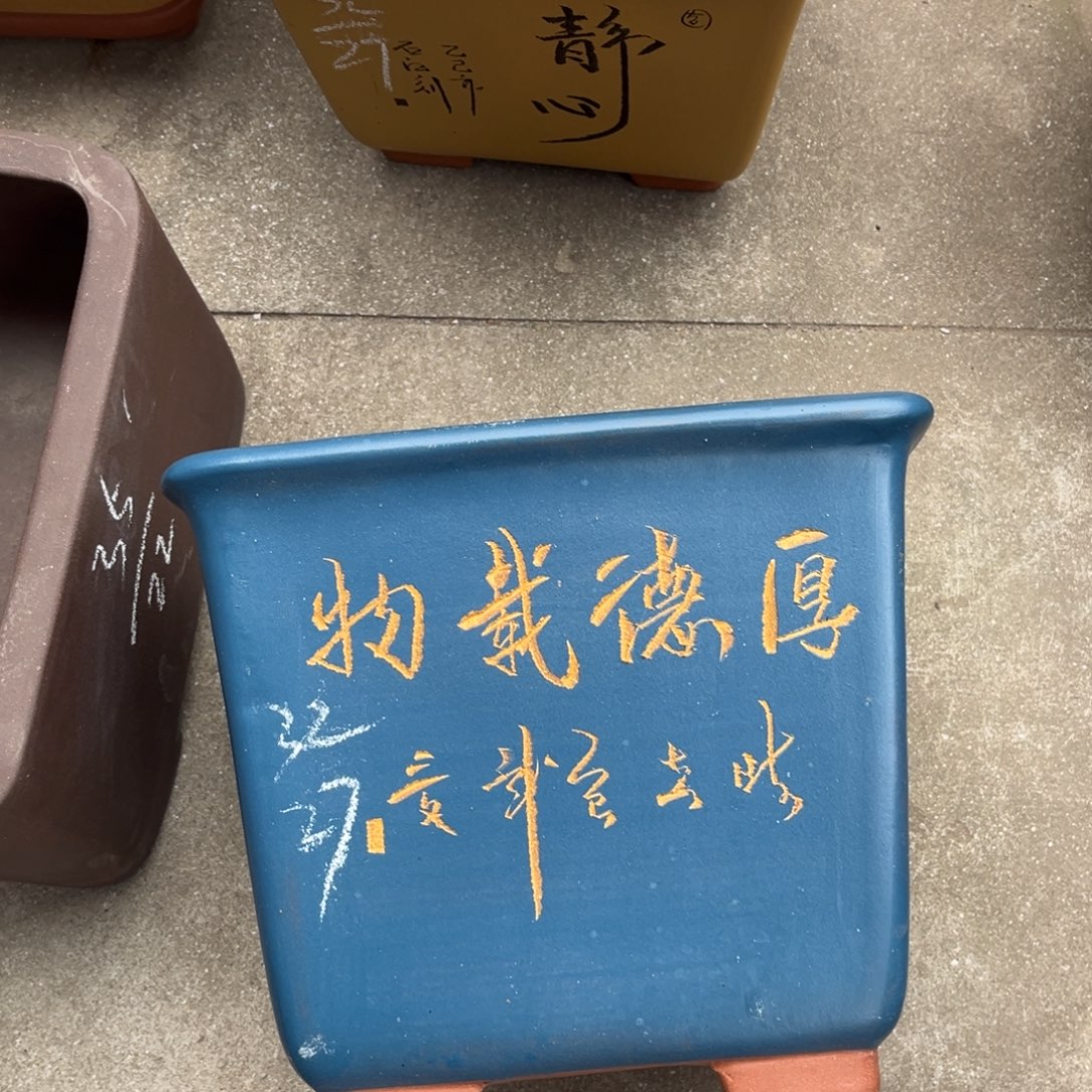 花盆紫砂盆景艺术