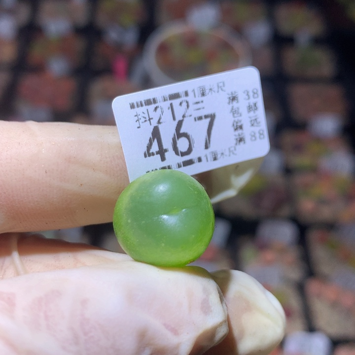 精品生生花212.467