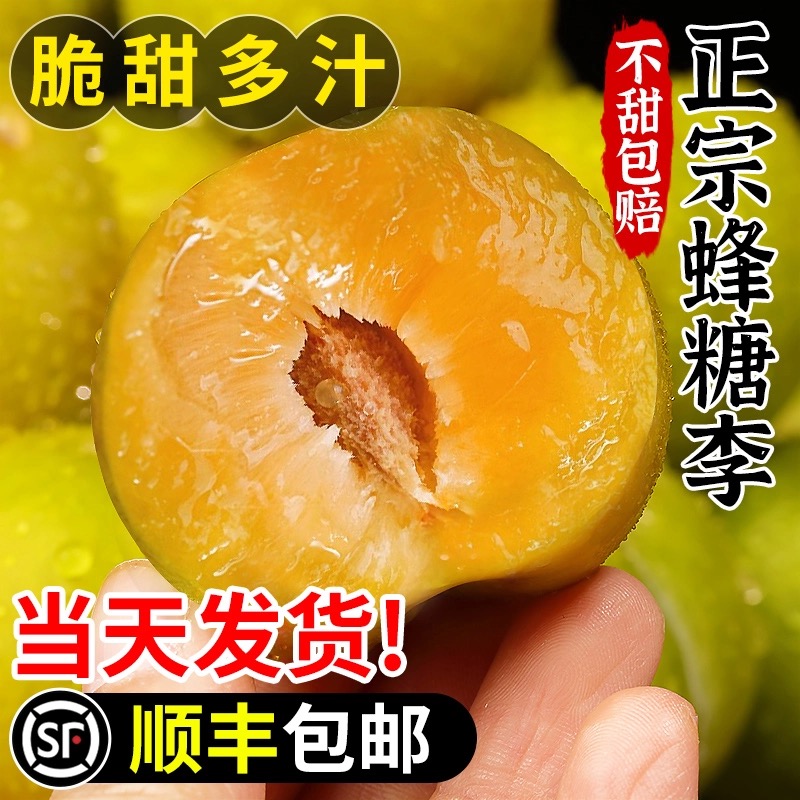 【顺丰包邮】正宗四川蜂糖李脱骨李子应季现摘新鲜水果3斤5斤包邮