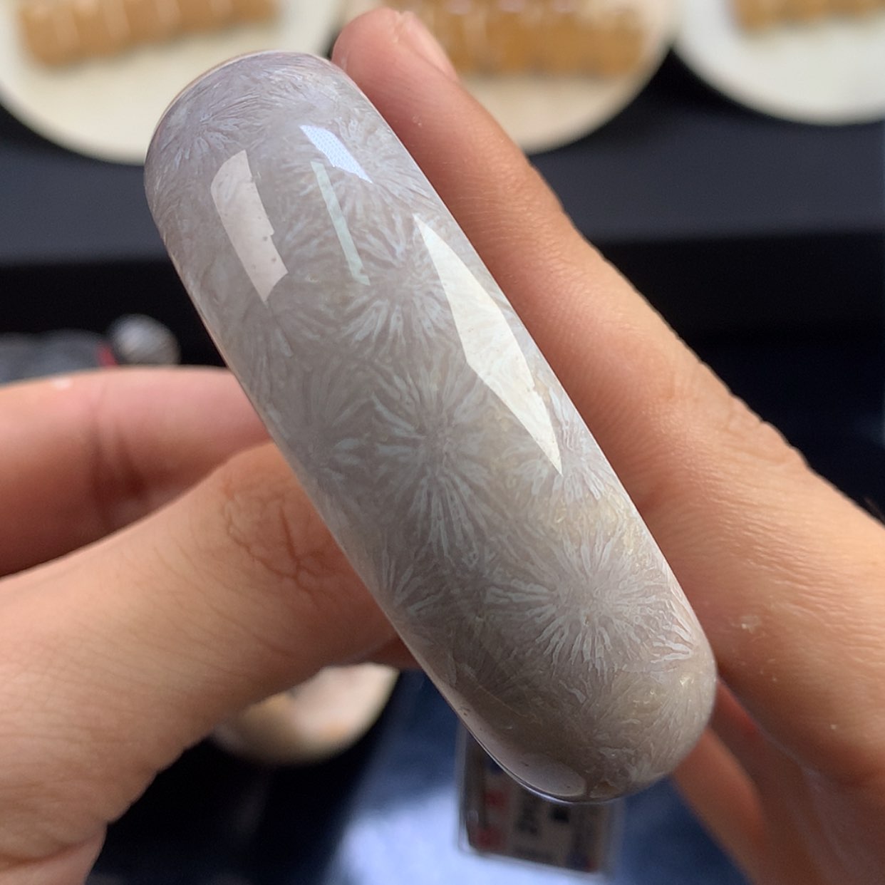 【闪购商品】硅化珊瑚（珊瑚玉）未镶嵌颈饰22号52.7圈