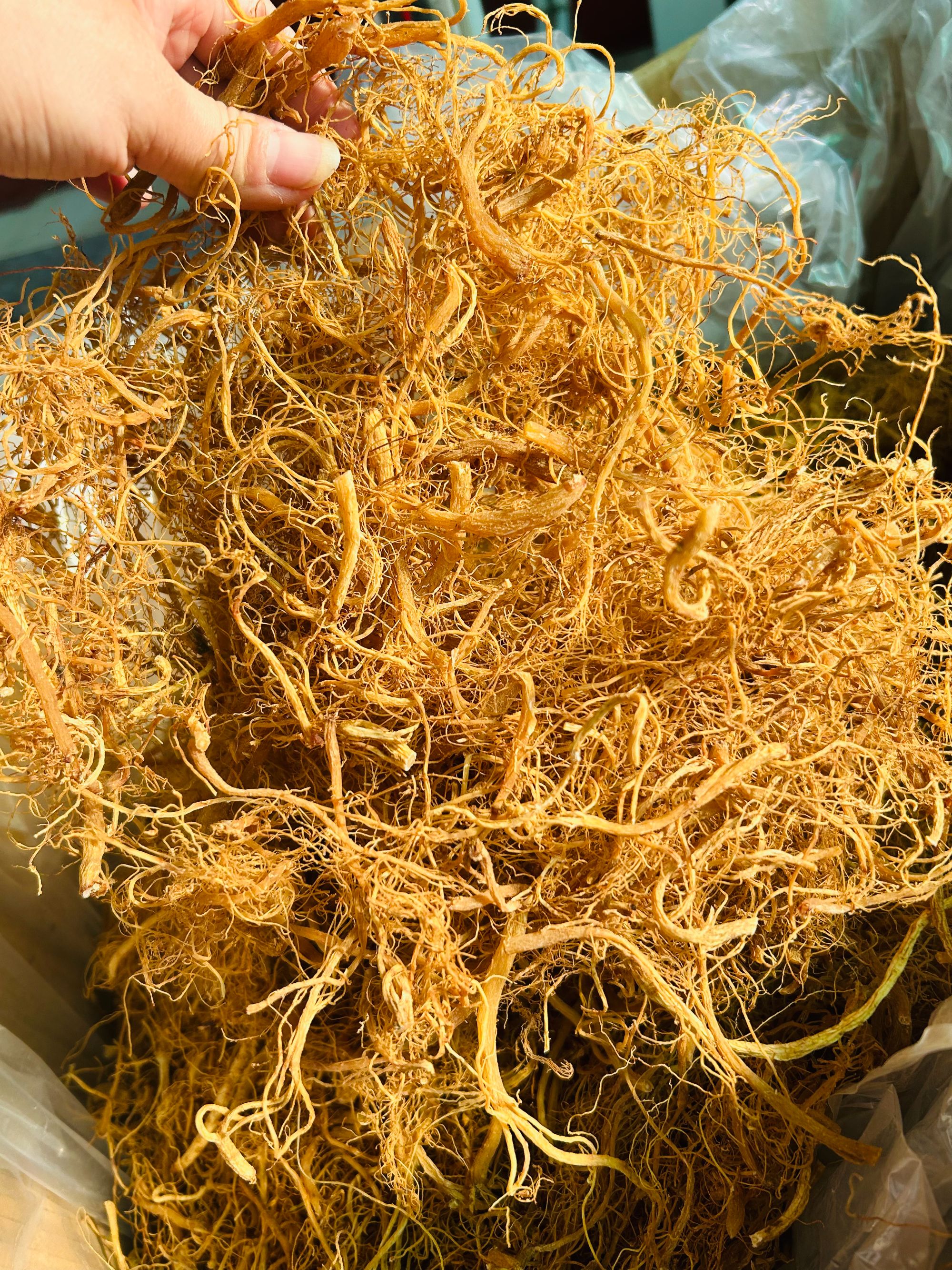 毳森长白人参须高丽参须子红参须子