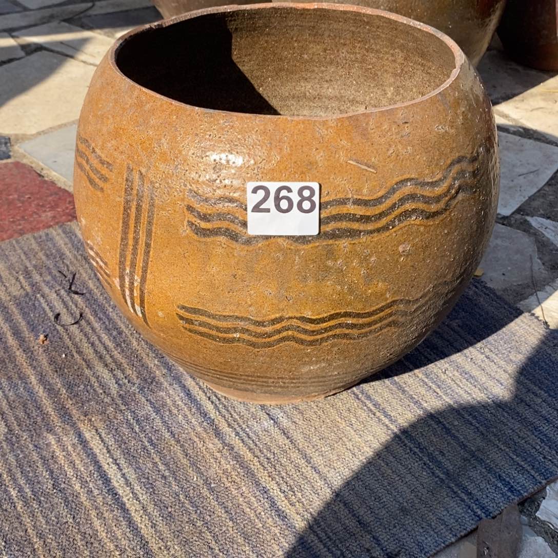 好***哥罐养花养花养花养草养花