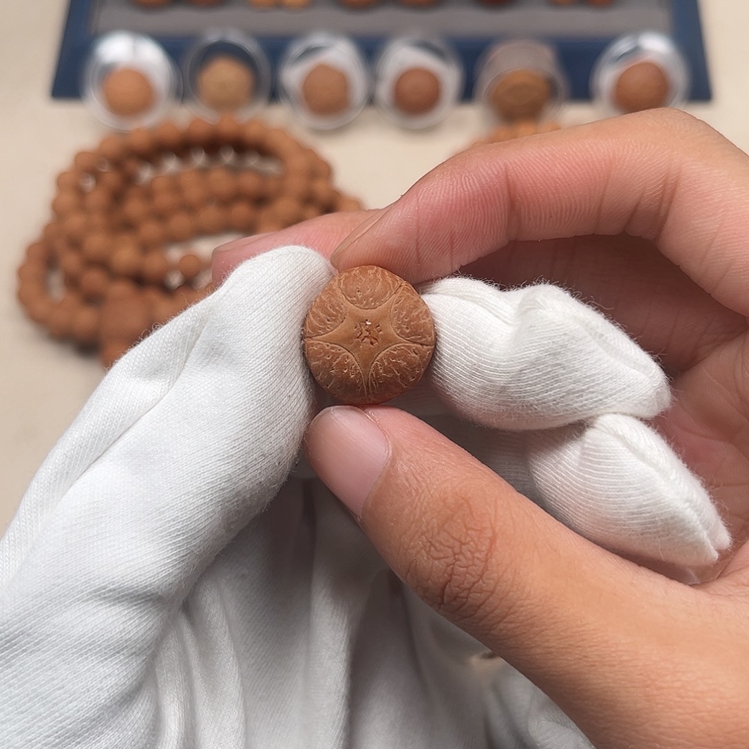 凤眼菩提吊坠福利五星