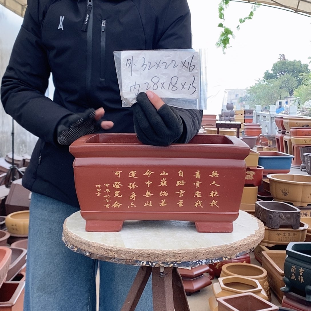 紫砂花盆紫砂花盆